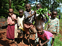 children planting trees